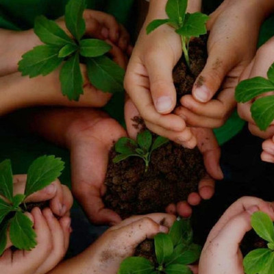 Timeline: Fundamentos y principios de la educación ambiental