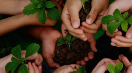 Timeline: Fundamentos y principios de la educación ambiental