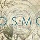 Cosmos bn 491x255