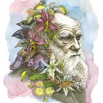 Timeline: LA PRIMERA TRANSFORMACIÓN