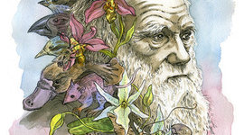 Timeline: LA PRIMERA TRANSFORMACIÓN