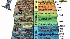 Timeline: Lessard Timeline