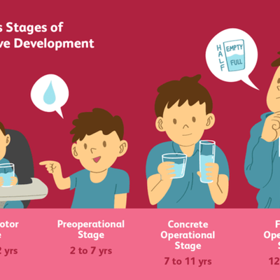 Timeline: Piaget's four stages of cognitive development