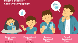 Timeline: Piaget's four stages of cognitive development