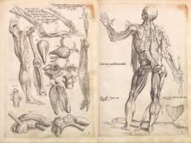 Evolución de la Ciencia timeline | Timetoast timelines