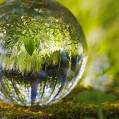 Timeline: problemática ambiental  en Colombia