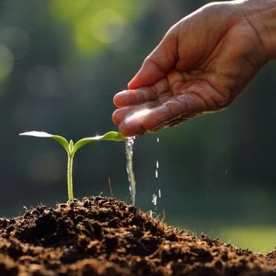 Timeline: RESPONSABILIDAD AMBIENTAL.