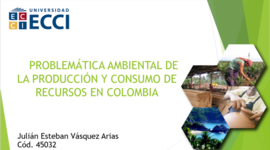 Timeline: PROBLEMÁTICA AMBIENTAL DE LA PRODUCCIÓN Y CONSUMO DE RECURSOS EN COLOMBIA