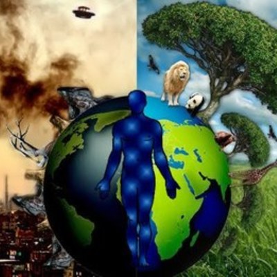 Timeline: Problemática Ambiental en Colombia