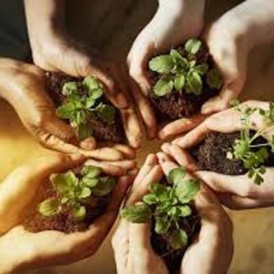 Timeline: exneider steven gomez cepeda