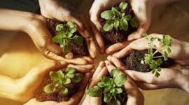 Timeline: exneider steven gomez cepeda