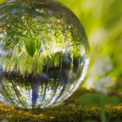 Timeline: Problemática Ambiental en Colombia y el Mundo