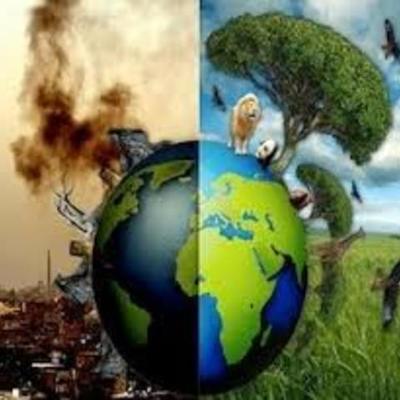 Timeline: problemática ambiental de la producción y el consumo en Colombia y el mundo