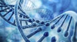 Timeline: Avances en el conocimiento del ADN