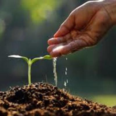 Timeline: Responsabilidad Ambiental