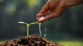 Timeline: Responsabilidad Ambiental