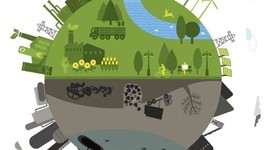 Timeline: En la segunda mitad del siglo XX.