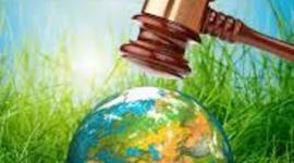 Timeline: Problemática Ambiental de la Producción y Consumo en Colombia y el Mundo