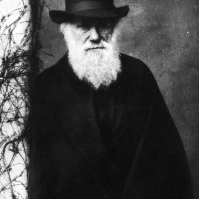 Timeline: Charles Darwin - made for history class project out of personal interest of Darwin