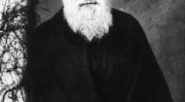 Timeline: Charles Darwin - made for history class project out of personal interest of Darwin