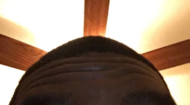 Timeline: All About Me