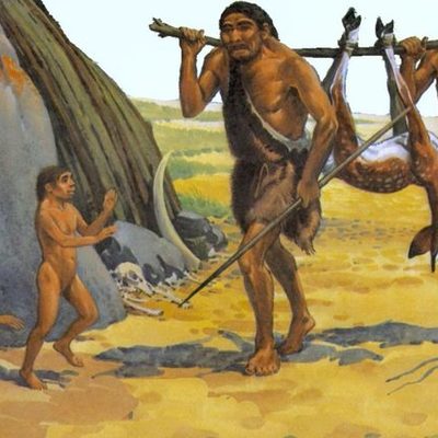 Timeline: EVOLUCIÓN HISTÓRICA DE LA HUMANIZACIÓN