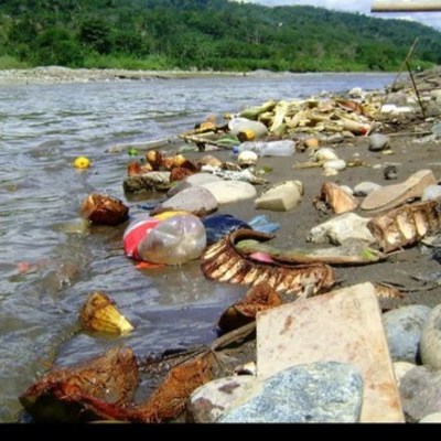 Timeline: Problemática ambiental, Colombia