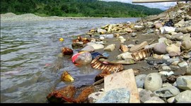 Timeline: Problemática ambiental, Colombia