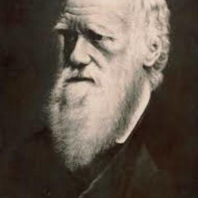 Timeline: La Primera Transformación