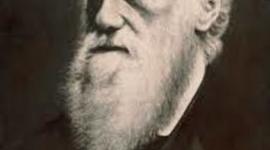 Timeline: La Primera Transformación