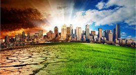 Timeline: la problemática ambiental de la producción y el consumo en Colombia y el mundo.