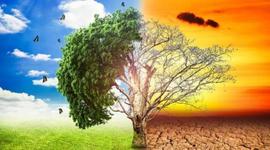 Timeline: Problemática ambiental en Colombia por Maria Camila Vasquez Ruiz