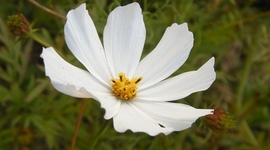 Timeline: QQ at home, Bike out door.