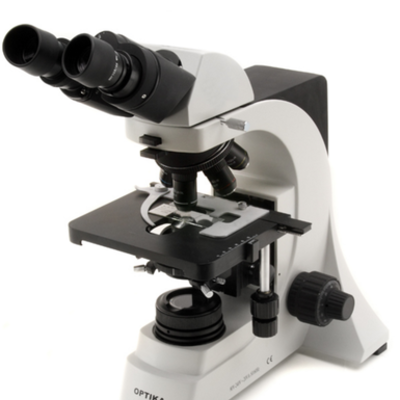Timeline: El microscopio