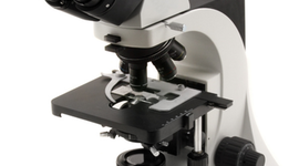 Timeline: El microscopio