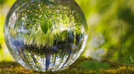 Timeline: problemática ambiental de la producción y consumo en Colombia y el mundo