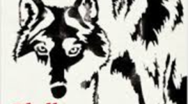 Timeline: LLOPS DE LA LLUNA ROJA