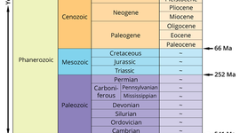 Timeline: Cole's geo timeline