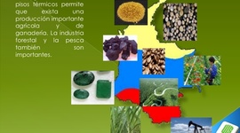 Timeline: Problemática ambiental de la producción y consumo en Colombia y el mundo