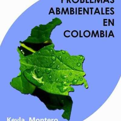 Timeline: Problemática ambiental de la producción y consumo de recursos en Colombia