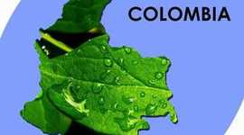 Timeline: Problemática ambiental de la producción y consumo de recursos en Colombia