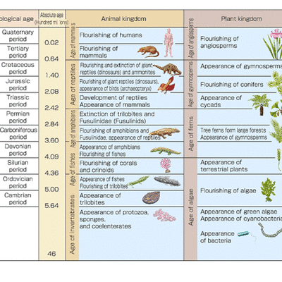 Timeline: Kayla F. Geologic Timeline