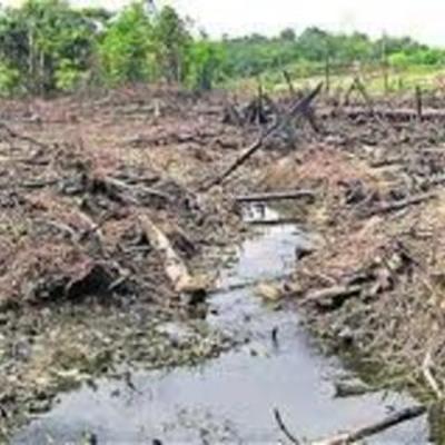 Timeline: Problemática ambiental de la producción y consumos de recursos en Colombia