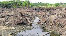 Timeline: Problemática ambiental de la producción y consumos de recursos en Colombia