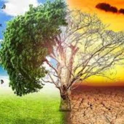 Timeline: Problemática ambiental de producción y consumo en Colombia y el mundo por Andres Rincon 78844