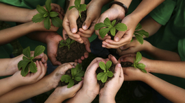 Timeline: Responsabilidad Ambiental