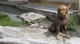 Timeline: Mi vida con Baco