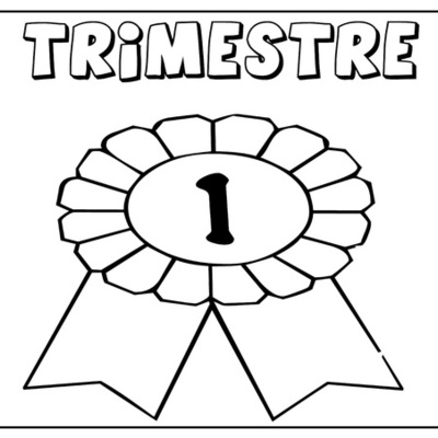 Timeline: portafolio 1º trimestre