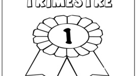 Timeline: portafolio 1º trimestre