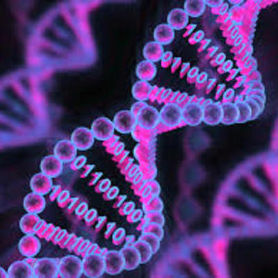 Timeline: Principales descubrimientos del DNA